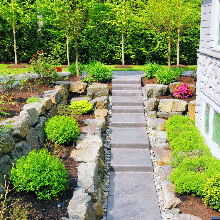 Carpentry and Handyman services in St Louis, MO